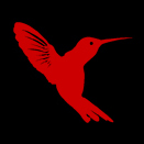 phototrap humming bird logo